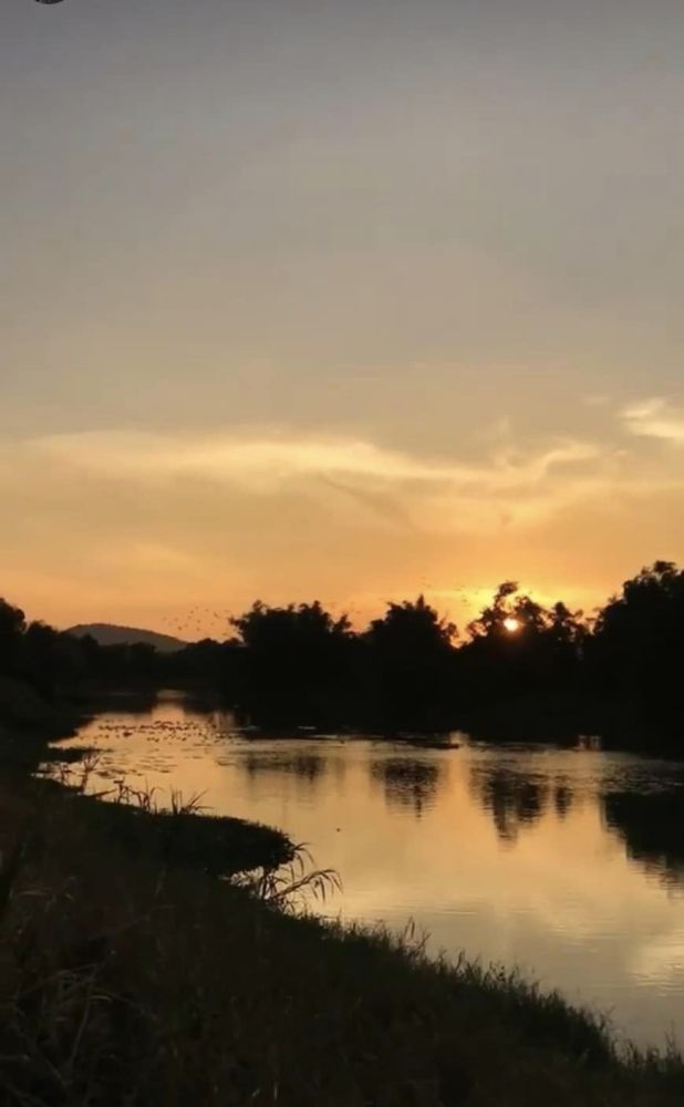 ขายที่ดินพร้อมสิ่งปลูกสร้างที่ดินถมแล้วมีแหล่งน้ำ-ขุดสระมีน้ำประปา ชัยนาท   ที่ตั้ง : ตำบลเสือโฮก อำเภอเมืองชัยนาท จังหวัดชัยนาท 17000 https://maps.app.goo.gl/yxbNDD