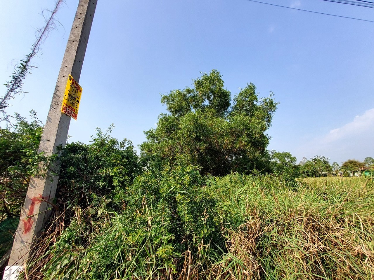 ขายด่วน ที่ดินคลองสิบสี่ 300 ตารางวา ถมแล้วทั้งแปลง โครงการกนกกุล 3 อ.หนองเสือ จ.ปทุมธานี