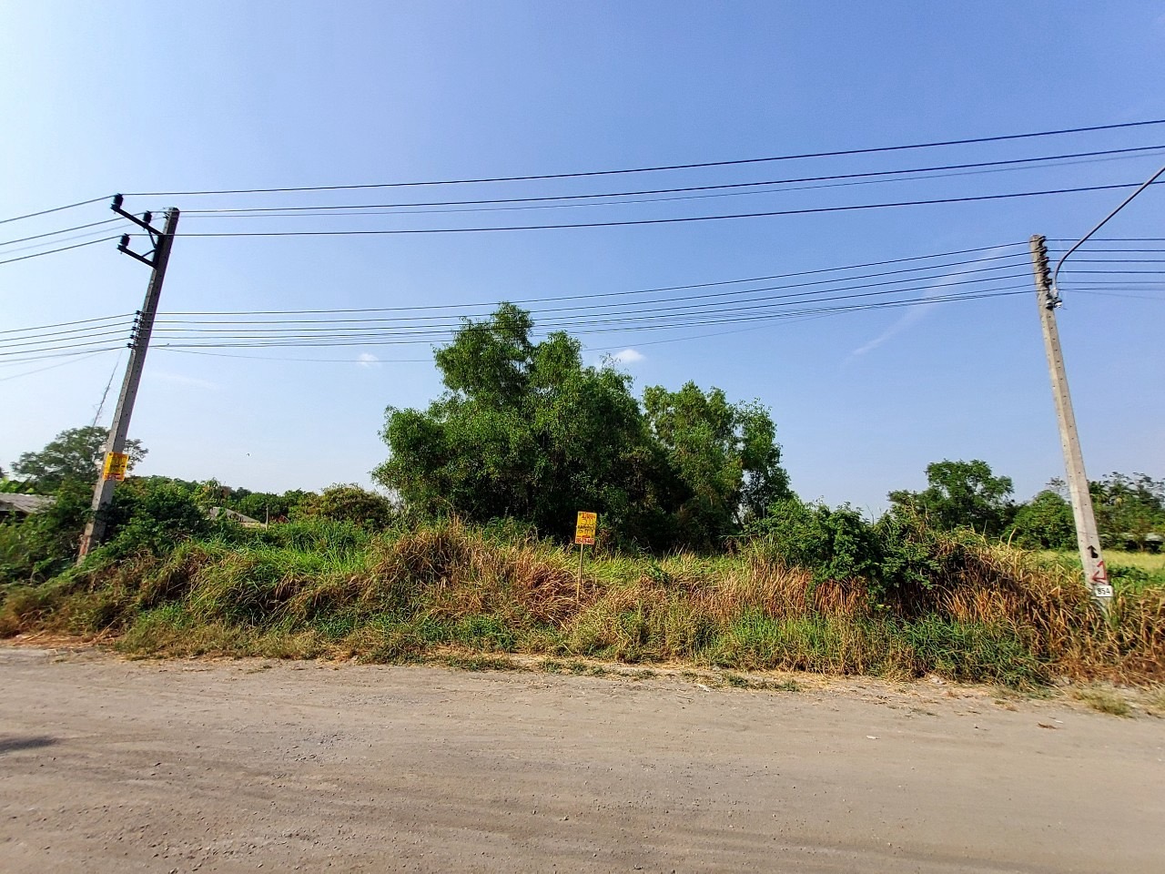 ขายด่วน ที่ดินคลองสิบสี่ 300 ตารางวา ถมแล้วทั้งแปลง โครงการกนกกุล 3 อ.หนองเสือ จ.ปทุมธานี