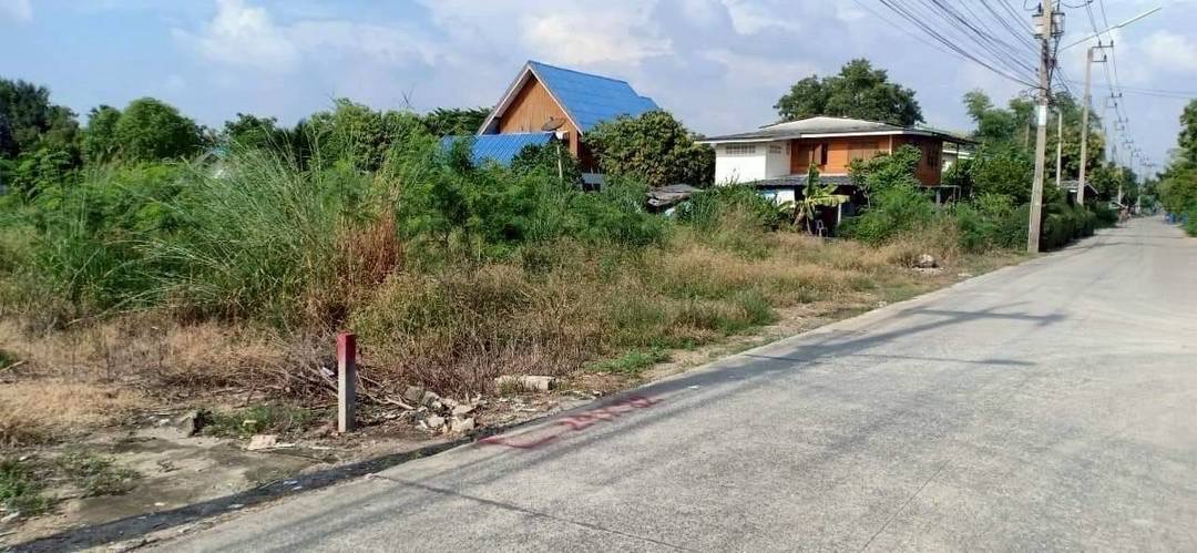 ขายถูก ที่ดินซอยวัดสามโคก 598 ตารางวา หน้าติดถนนคอนกรีตสาธารณะ-หลังติดคลอง  อ.สามโคก จ.ปทุมธานี