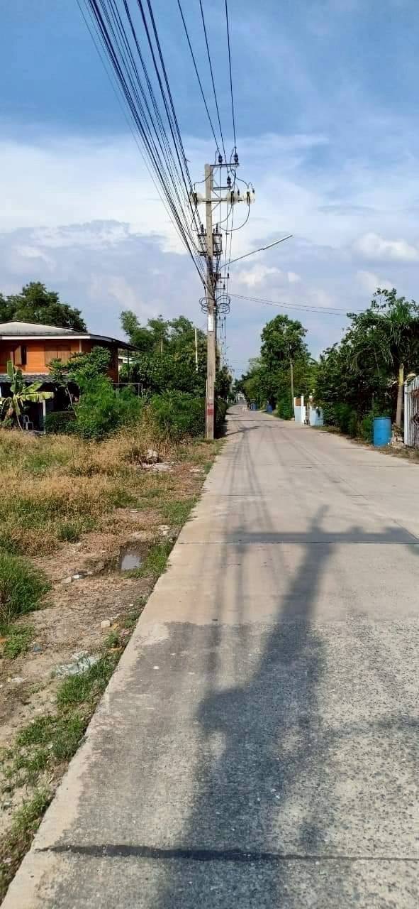 ขายถูก ที่ดินซอยวัดสามโคก 598 ตารางวา หน้าติดถนนคอนกรีตสาธารณะ-หลังติดคลอง  อ.สามโคก จ.ปทุมธานี
