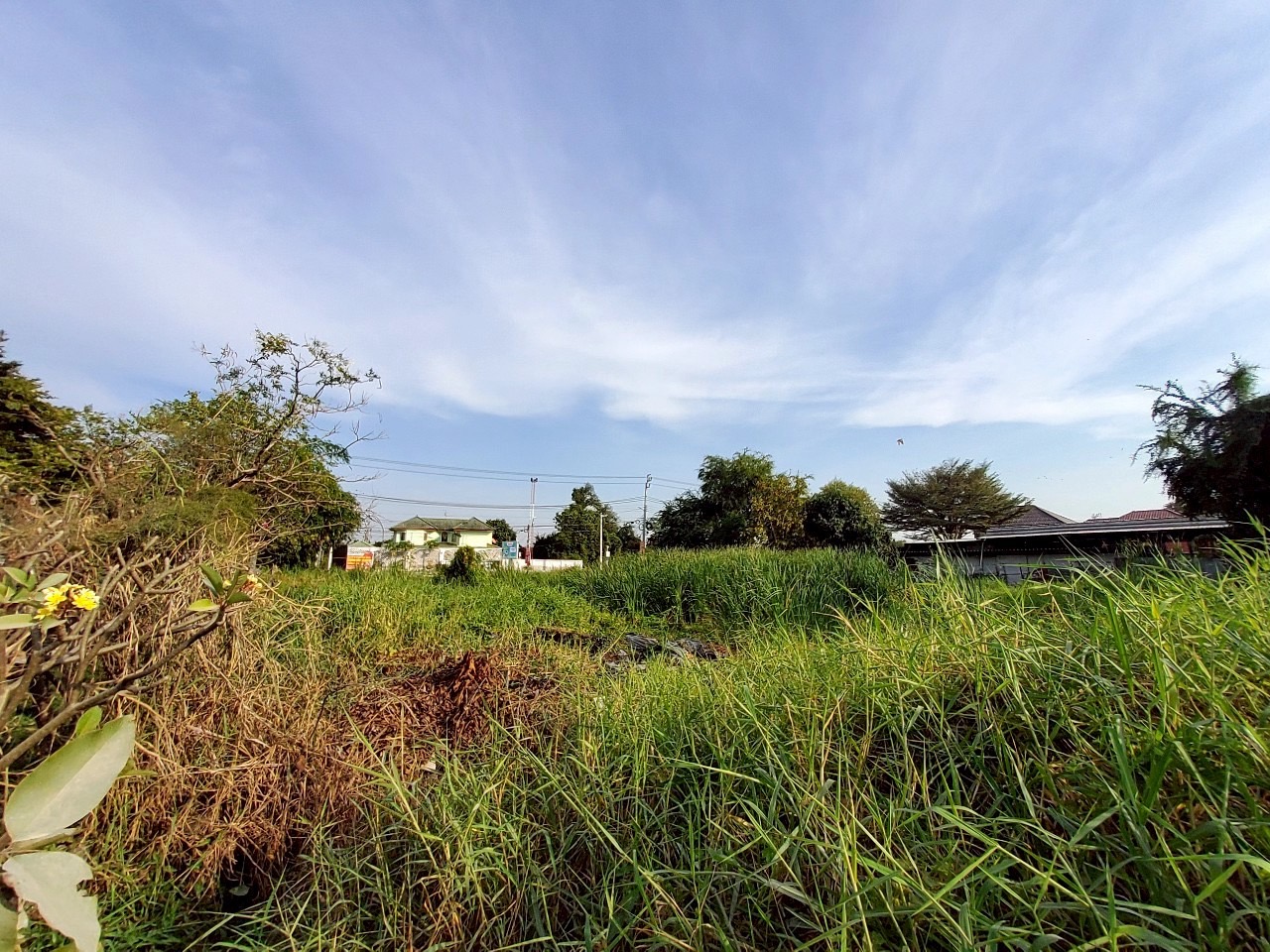 ขายด่วน ที่ดินติดคลองลาดปลาดุก 399 ตารางวา แปลงมุม ชอยโรงเรียนสากลศึกษา อ.บางบัวทอง จ.นนทบุรี