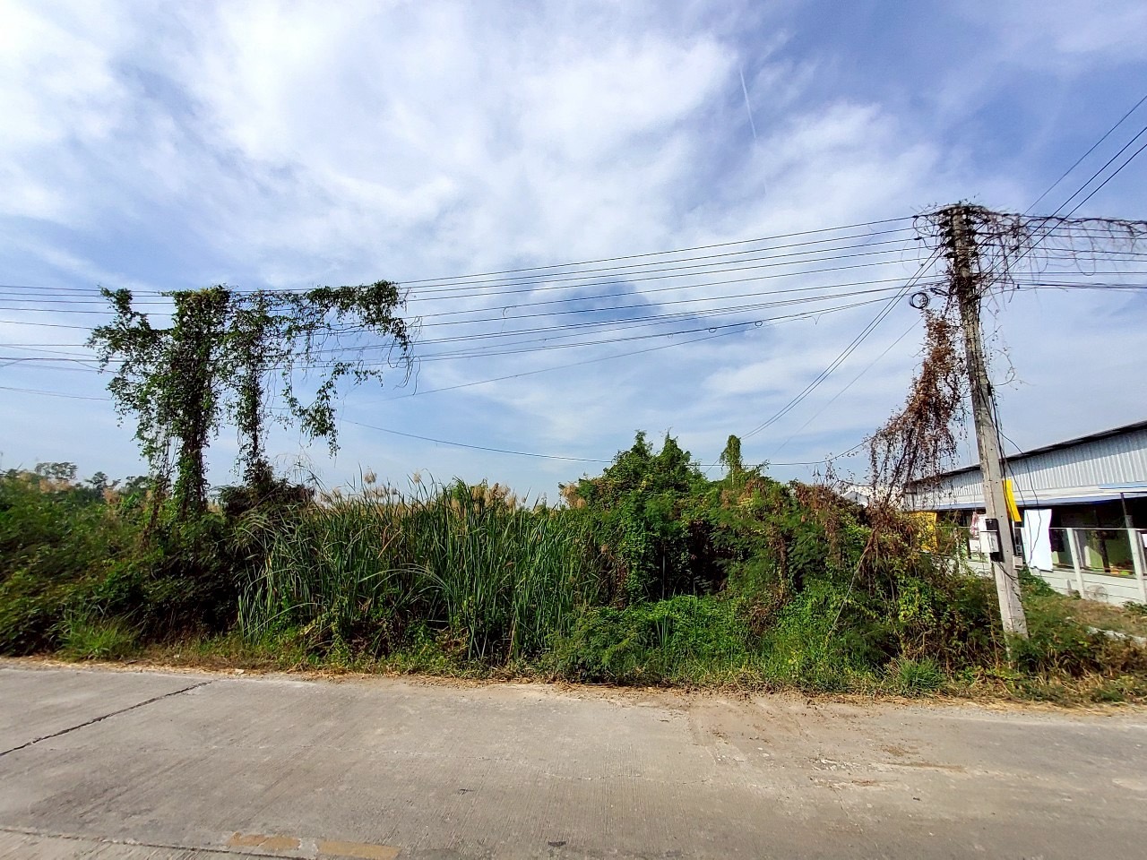 ขายด่วน ที่ดินคลองโยง 433 ตารางวา แปลงมุม ติดถนนคอนกรีตสาธารณะ  อ.พุทธมณฑล จ.นครปฐม