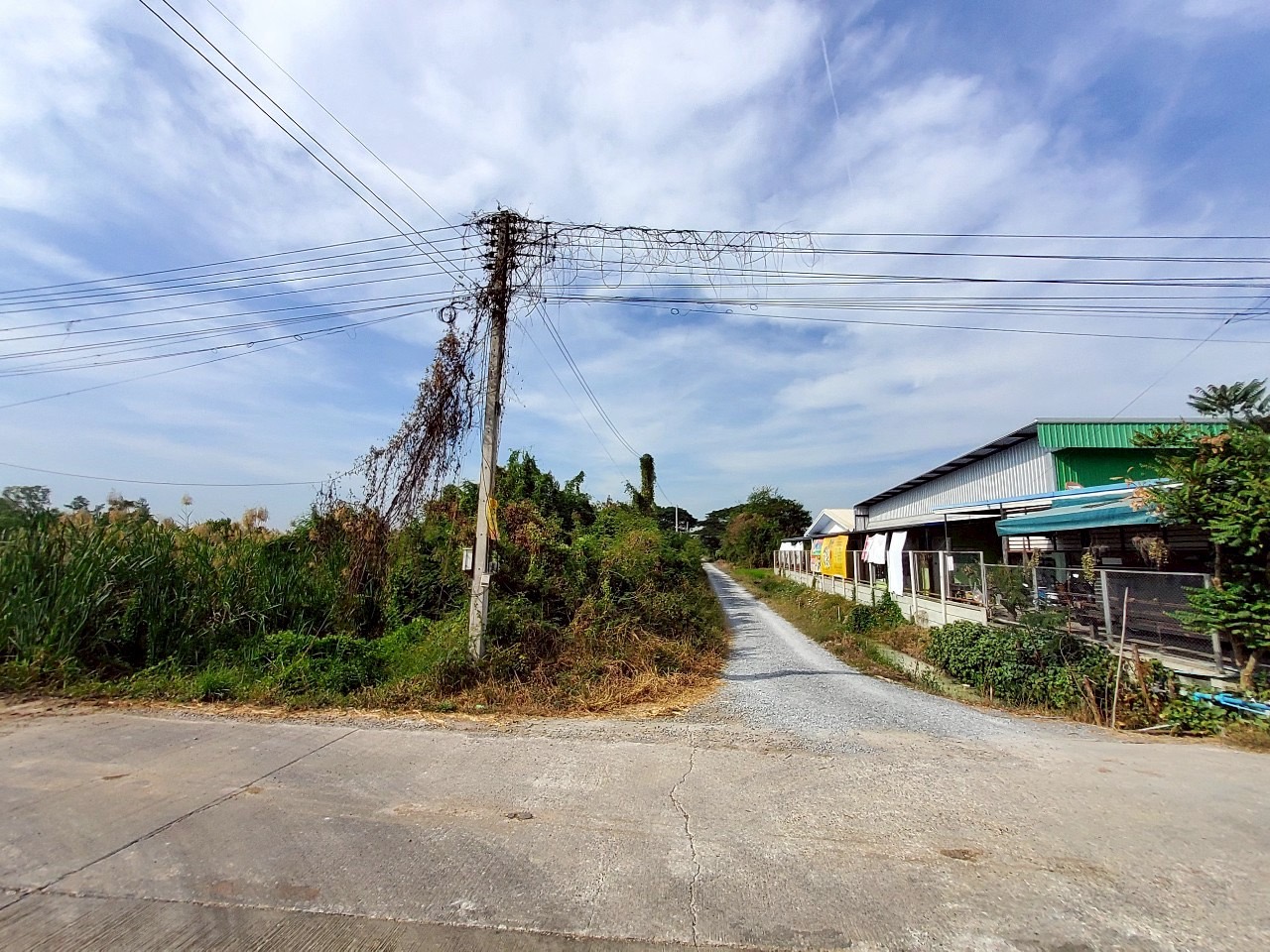 ขายด่วน ที่ดินคลองโยง 433 ตารางวา แปลงมุม ติดถนนคอนกรีตสาธารณะ  อ.พุทธมณฑล จ.นครปฐม