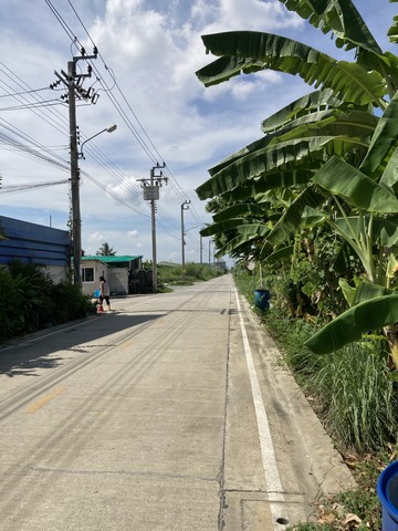 ขายที่ดินเปล่า 3 แปลงติดกัน ทำเลดี เหมาะทำเป็นที่พักอาศัย ซอยเป็นถนนคอนกรีตกว้าง รถเข้าออกได้สะดวก