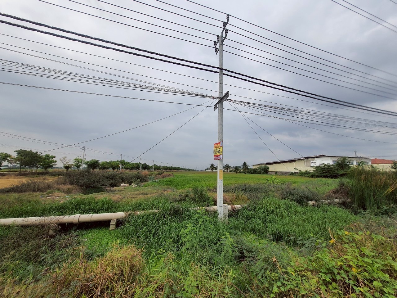 ขายถูก ที่ดินติดถนน 4 เลน เนื้อที่ 15-3-32 ไร่ ติดถนนปทุมธานี-บางเลน(346)ต.ขุนศรี อ.ไทรน้อย จ.นนทบุรี