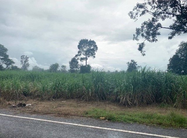 ขายที่ดินโฉนดแปลงสวย 111 ไร่ 3 งาน อำเภอเมืองอุดรธานี จังหวัดอุดรธานี 