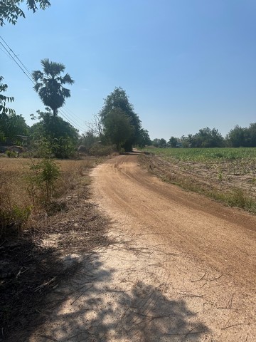 ขายที่ดินทำเลดี 17 ไร่ 1 งาน 88 ตารางวา ต.เนินขี้เหล็ก อ.ลาดยาว จ.นครสวรรค์