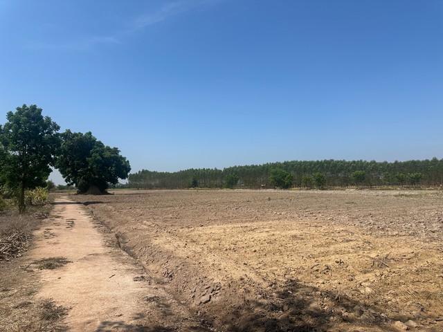 ขายที่ดิน 11 ไร่ 2 งาน 39 ตารางวา ตำบลยะวึก อำเภอชุมพลบุรี จังหวัดสุรินทร์  ที่ตั้ง : 2081 ตำบลยะวึก อำเภอชุมพลบุรี จังหวัดสุรินทร์ 32190 https://maps.app.goo.gl/hQ2