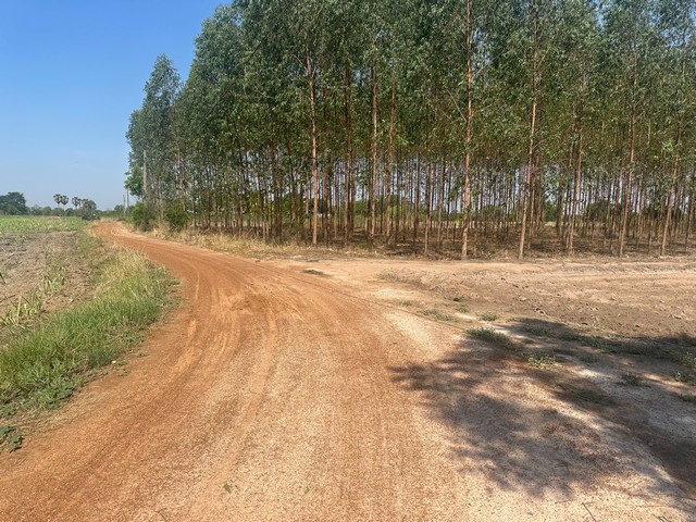 ขายที่ดิน 11 ไร่ 2 งาน 39 ตารางวา ตำบลยะวึก อำเภอชุมพลบุรี จังหวัดสุรินทร์  ที่ตั้ง : 2081 ตำบลยะวึก อำเภอชุมพลบุรี จังหวัดสุรินทร์ 32190 https://maps.app.goo.gl/hQ2