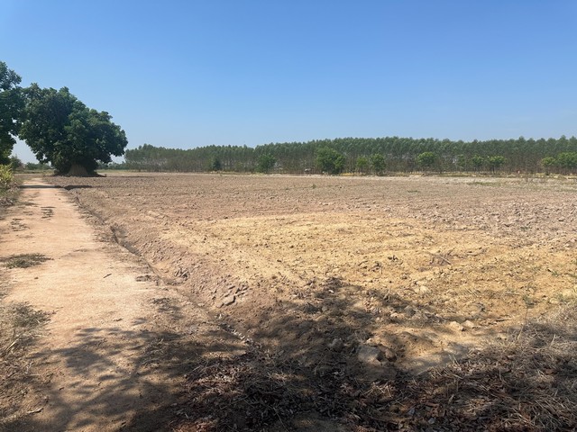 ขายที่ดิน 11 ไร่ 2 งาน 39 ตารางวา ตำบลยะวึก อำเภอชุมพลบุรี จังหวัดสุรินทร์  ที่ตั้ง : 2081 ตำบลยะวึก อำเภอชุมพลบุรี จังหวัดสุรินทร์ 32190 https://maps.app.goo.gl/hQ2