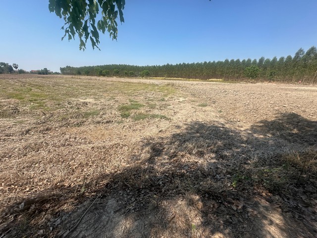 ขายที่ดิน 11 ไร่ 2 งาน 39 ตารางวา ตำบลยะวึก อำเภอชุมพลบุรี จังหวัดสุรินทร์  ที่ตั้ง : 2081 ตำบลยะวึก อำเภอชุมพลบุรี จังหวัดสุรินทร์ 32190 https://maps.app.goo.gl/hQ2