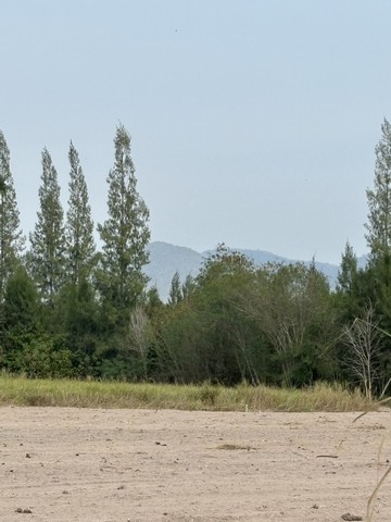 ขายที่ดิน เจ้าของขายเอง  5 ไร่ 87 ตารางวา ตำบลเขากระปุก อำเภอท่ายาง จังหวัดเพชรบุรี   ที่ตั้ง : ตำบลเขากระปุก อำเภอท่ายาง จังหวัดเพชรบุรี 76310 https://maps.app.goo.