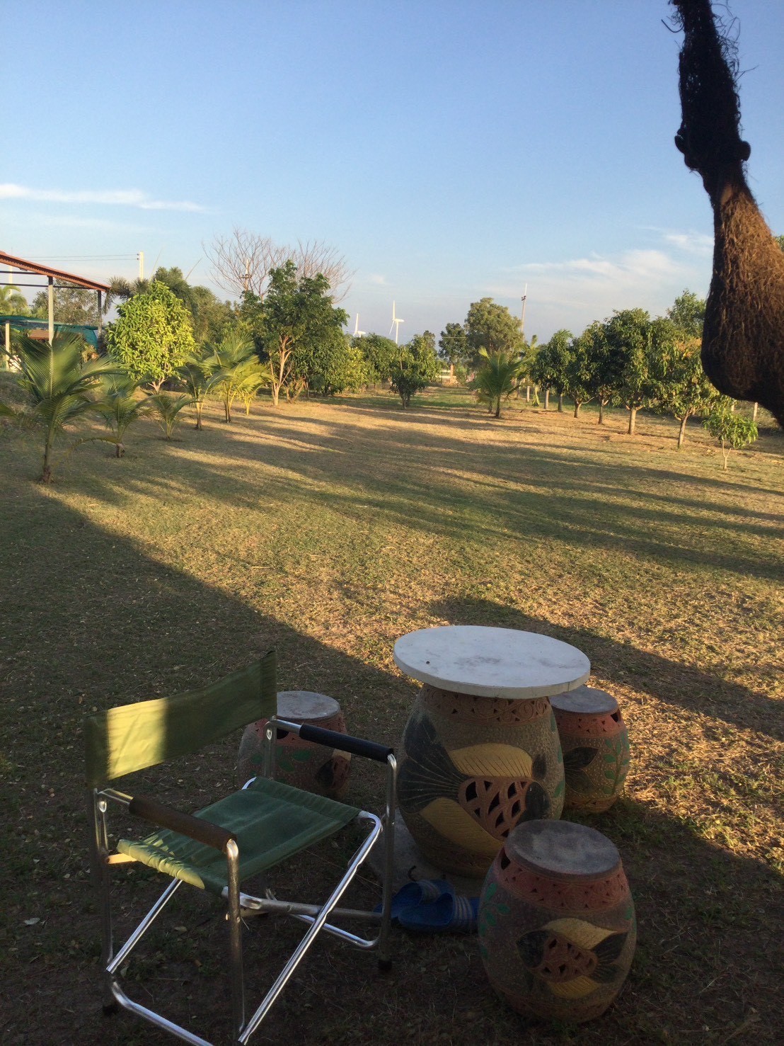 ขายที่ดินพร้อมสิ่งปลูกสร้าง เนื้อที่ 3 ไร่ 1 งาน 94 ตารางวา ตำบลพุแคส