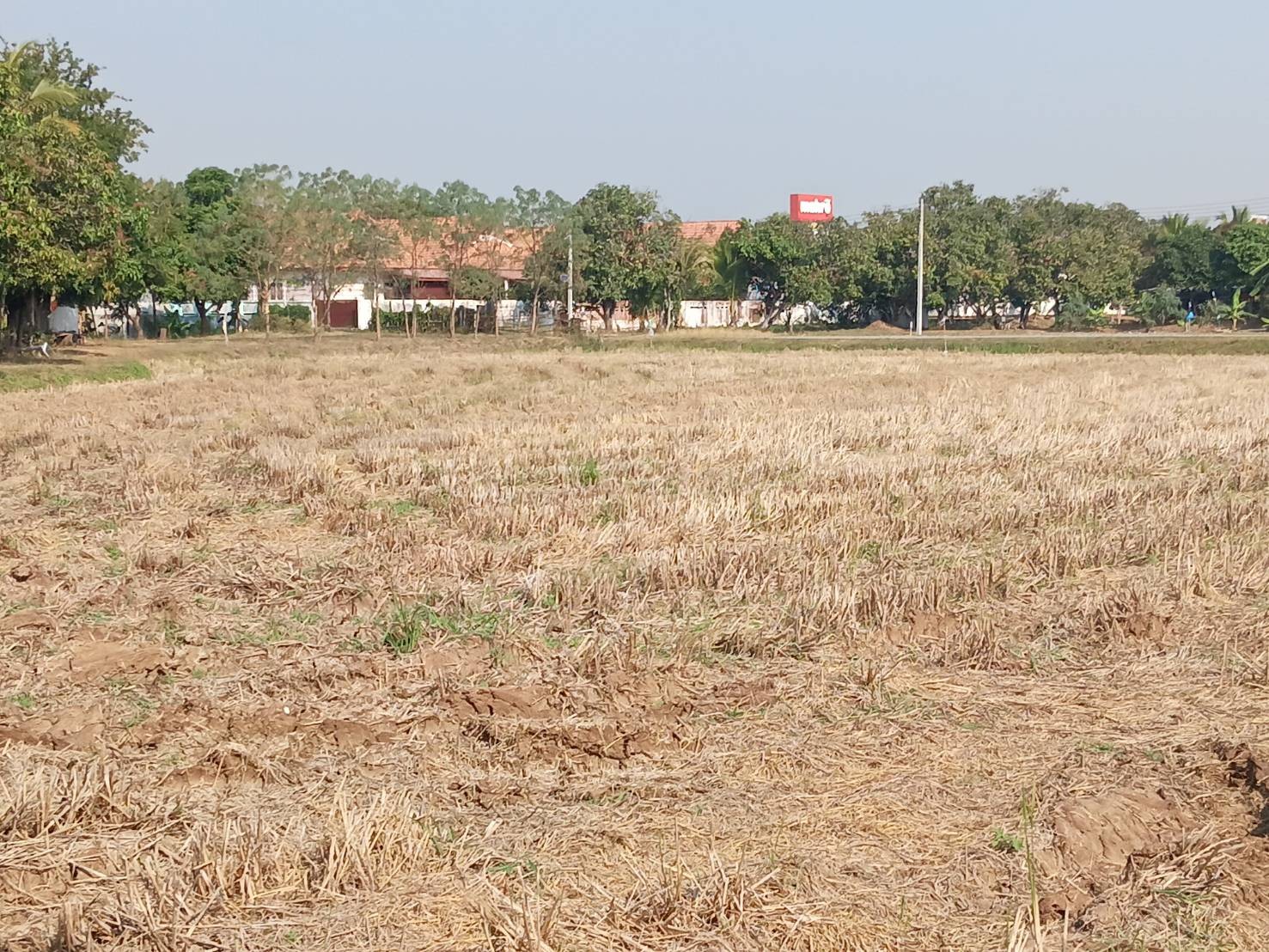 ขายที่ดิน แบ่ง 3 แปลง เจ้าของขายเอง 91 ตารางวา ขอนแก่น 