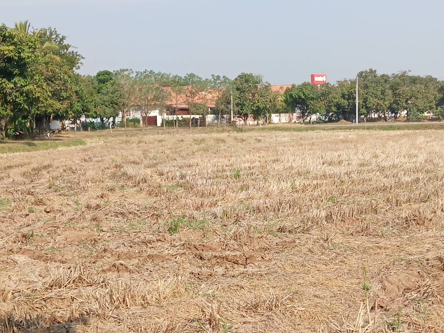 ขายที่ดิน แบ่ง 3 แปลง เจ้าของขายเอง 91 ตารางวา ขอนแก่น 