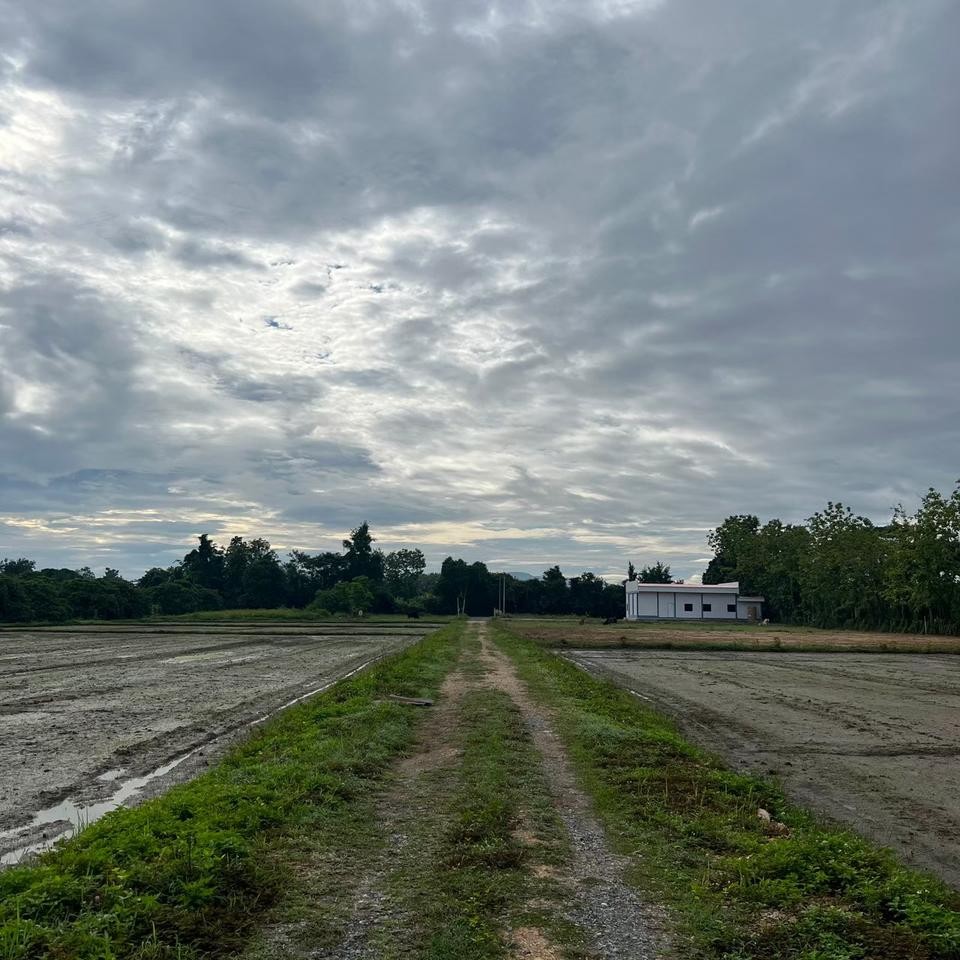 ขายที่ดิน เจ้าของขายเอง 400 ตารางวา ต.ชมภู อ.สารภี จ.เชียงใหม่