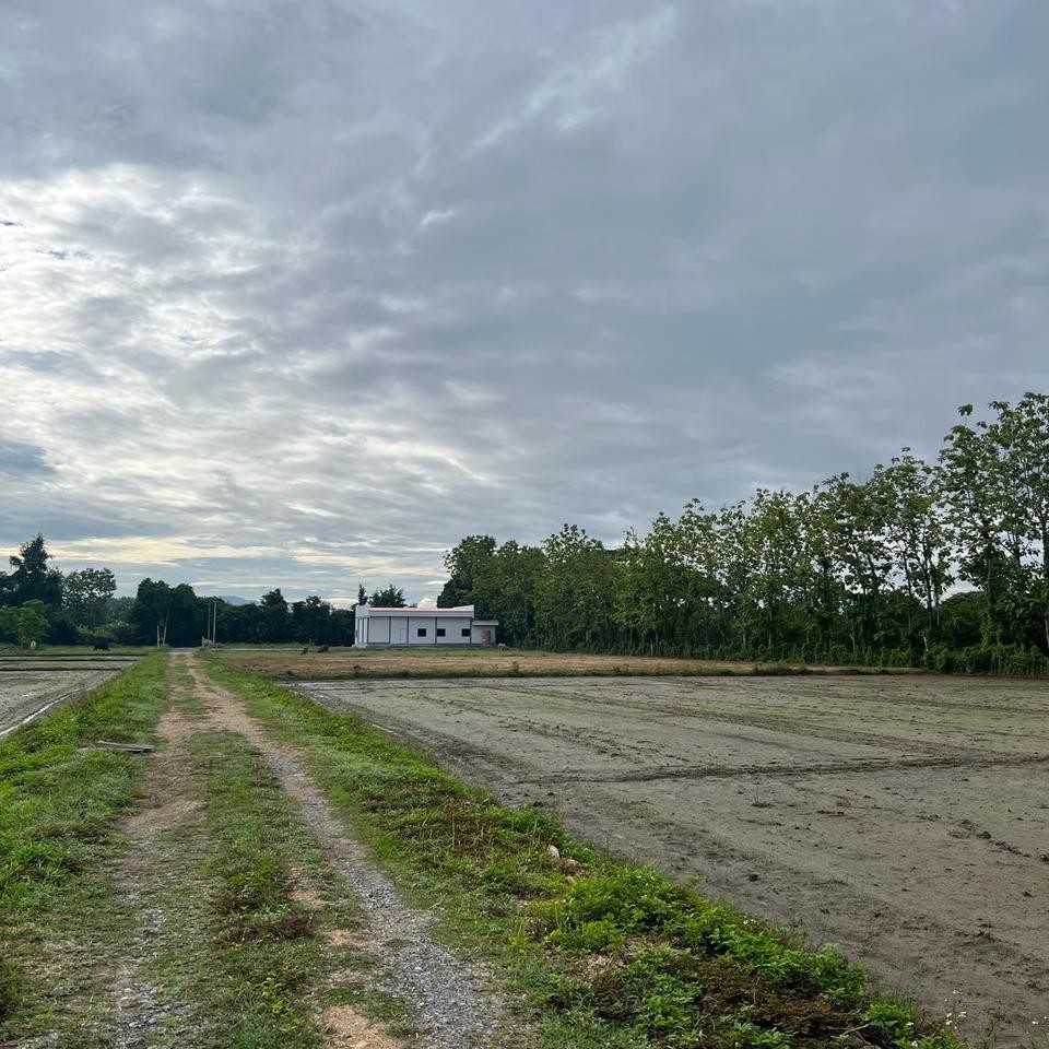 ขายที่ดิน เจ้าของขายเอง 400 ตารางวา ต.ชมภู อ.สารภี จ.เชียงใหม่