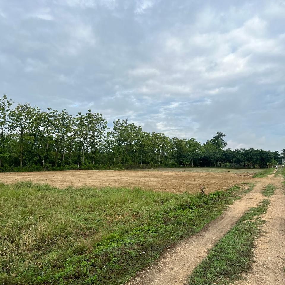 ขายที่ดิน เจ้าของขายเอง 400 ตารางวา ต.ชมภู อ.สารภี จ.เชียงใหม่