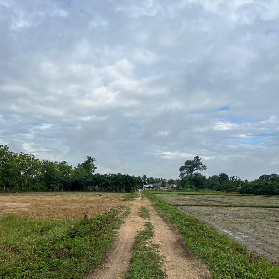 ขายที่ดิน เจ้าของขายเอง 400 ตารางวา ต.ชมภู อ.สารภี จ.เชียงใหม่