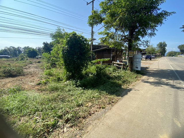 ขายที่ดินทำเลดี 3 ไร่  13 ตารางวา เจ้าของขายเอง จังหวัดแพร่