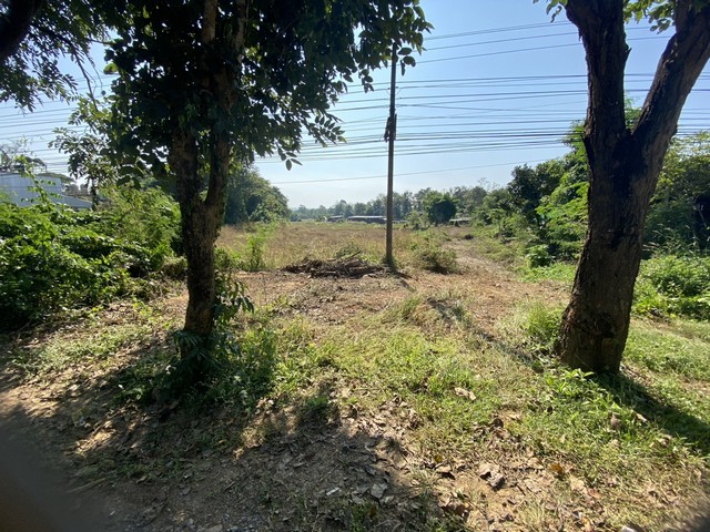 ขายที่ดินทำเลดี 3 ไร่  13 ตารางวา เจ้าของขายเอง จังหวัดแพร่