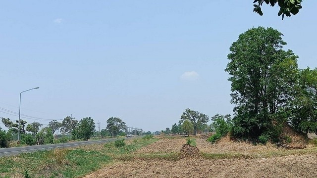 ขายที่ดิน 11 ไร่ 2 งาน 39 ตารางวา เจ้าของขายเอง  จังหวัดสุรินทร์