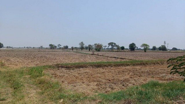 ขายที่ดิน 11 ไร่ 2 งาน 39 ตารางวา เจ้าของขายเอง  จังหวัดสุรินทร์