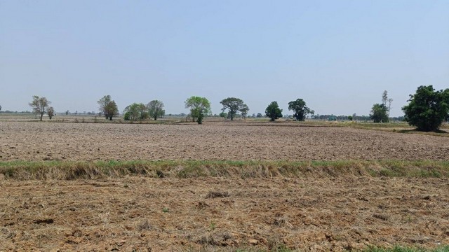 ขายที่ดิน 11 ไร่ 2 งาน 39 ตารางวา เจ้าของขายเอง  จังหวัดสุรินทร์