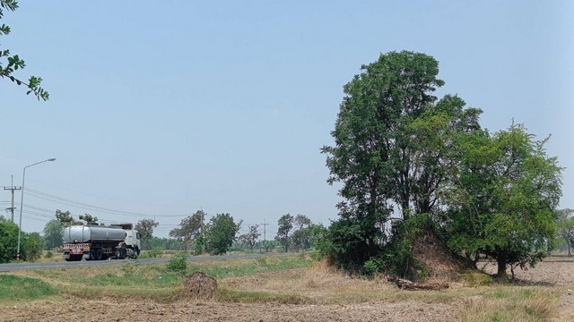 ขายที่ดิน 11 ไร่ 2 งาน 39 ตารางวา เจ้าของขายเอง  จังหวัดสุรินทร์