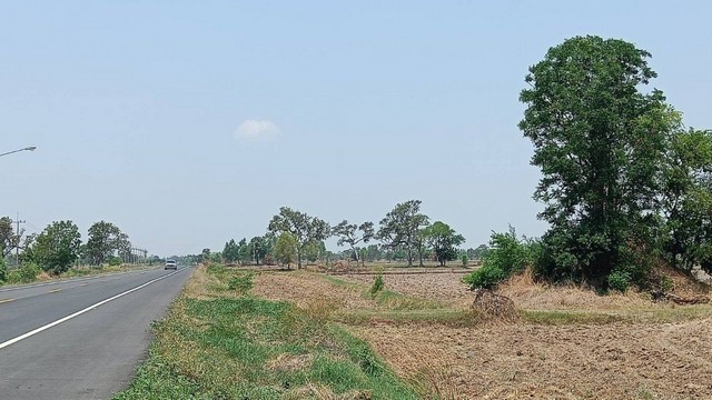 ขายที่ดิน 11 ไร่ 2 งาน 39 ตารางวา เจ้าของขายเอง  จังหวัดสุรินทร์