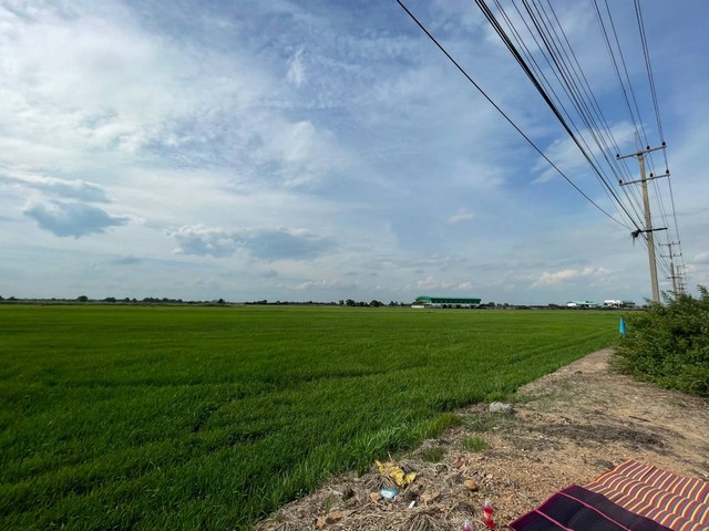 ขายทำเลดีและพื้นที่ที่ดินสวยมาก  ต.บางพระขาว อ.บางบาล จ.พระนครศรีอยุธยา