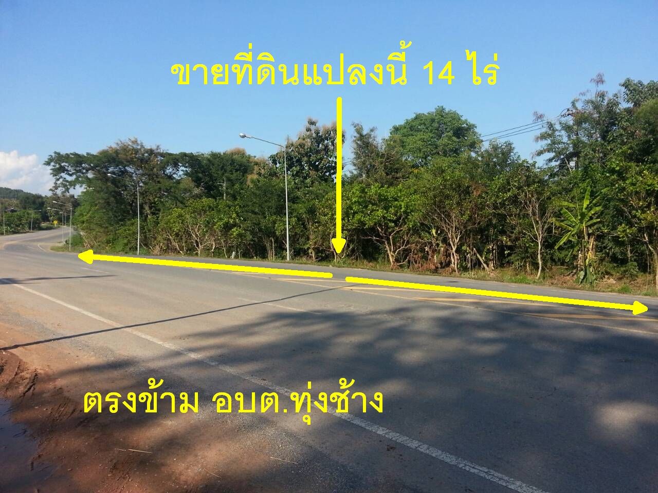 ขายที่ดินเปล่า 14 ไร่  ตำบลทุ่งช้าง ตรงข้าม อบต.ทุ่งช้าง อ.ทุ่งช้าง จ.น่าน