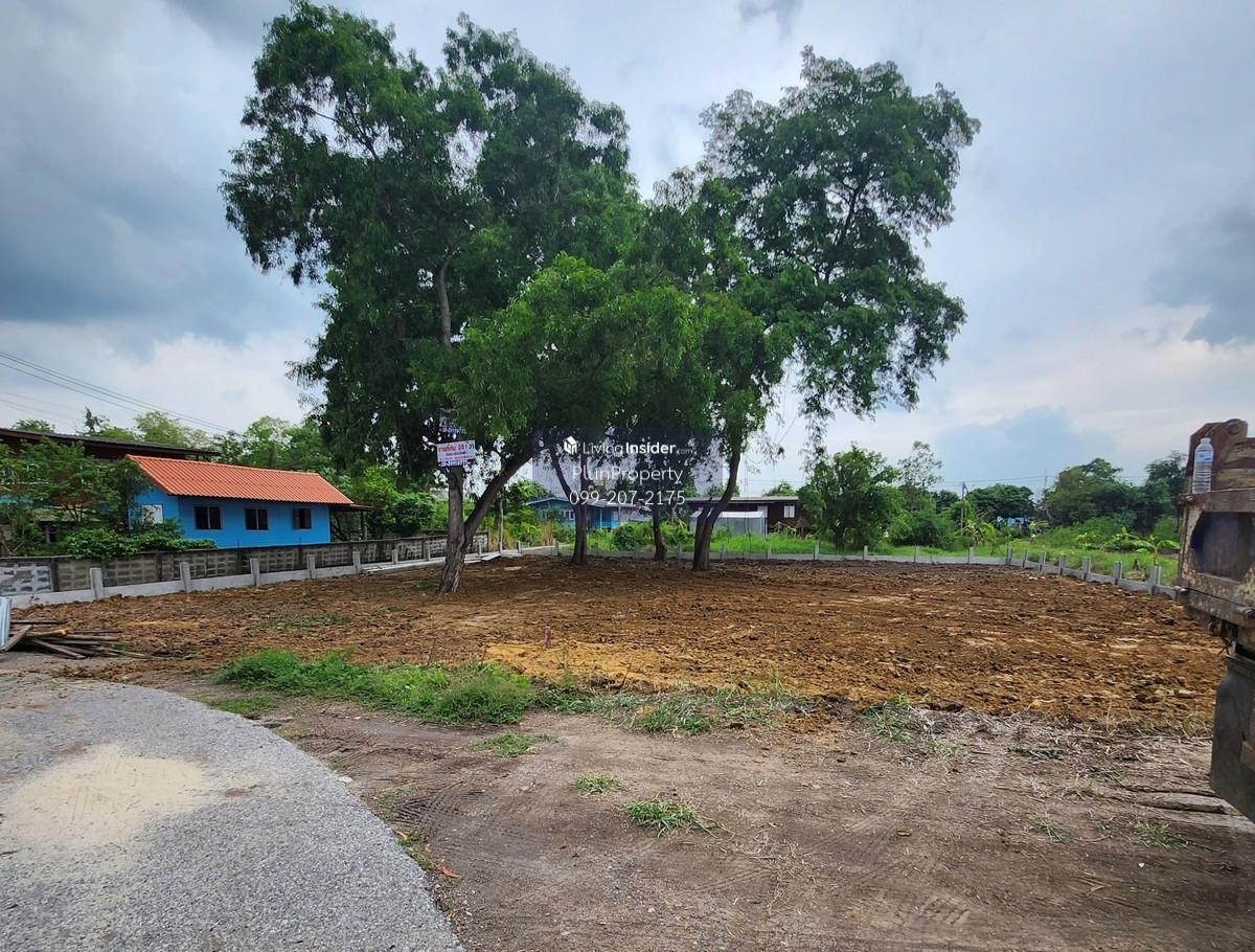 ขายที่ดิน 201 ตรว. ถมแล้ว ติดถนนเมน ติดสถานีรถไฟฟ้าสายสีแดงเข้ม ส่วนต่อขยาย สถานีเชียงราก