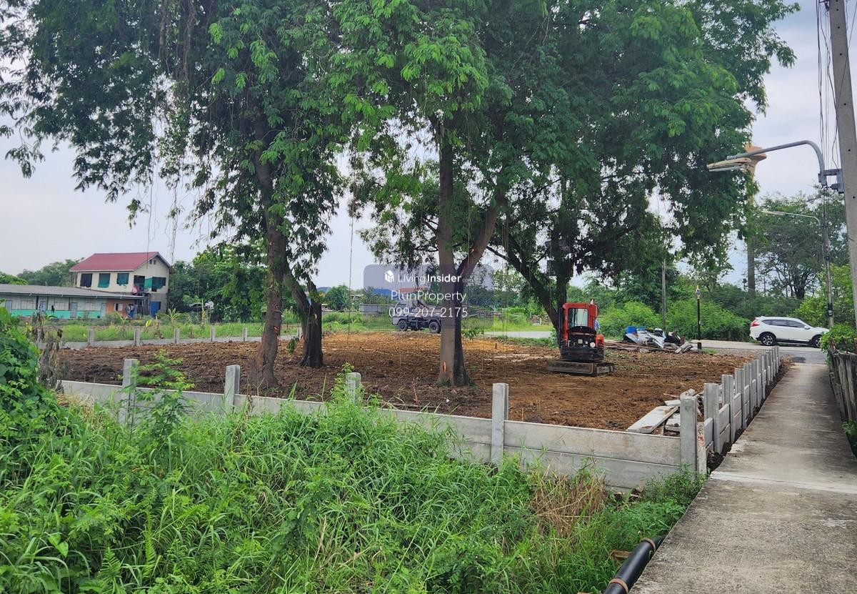 ขายที่ดิน 201 ตรว. ถมแล้ว ติดถนนเมน ติดสถานีรถไฟฟ้าสายสีแดงเข้ม ส่วนต่อขยาย สถานีเชียงราก