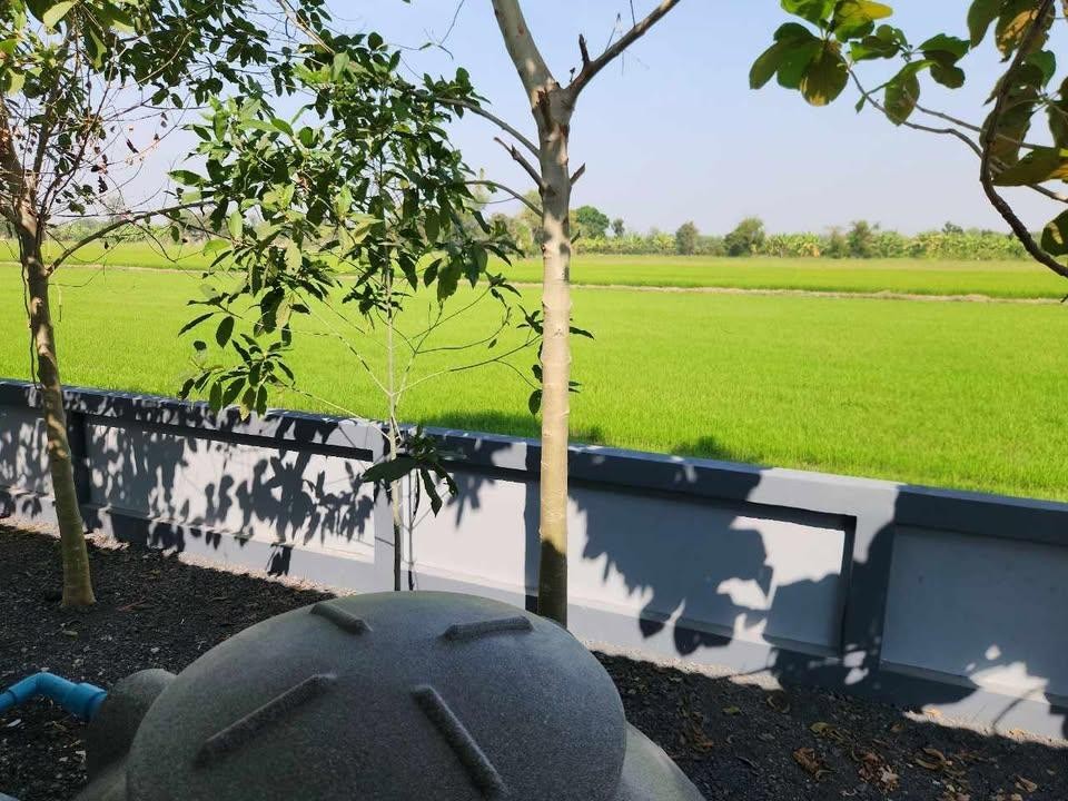 ขายบ้านเดี่ยว 76 ตร.วา คลอง5 บรรยากาศทุ่งนาคาเฟ่ ข้างโรงเรียนทีปังกรณ์วิทยาพัฒน์ ตรงข้าม อบต.คลองห้า