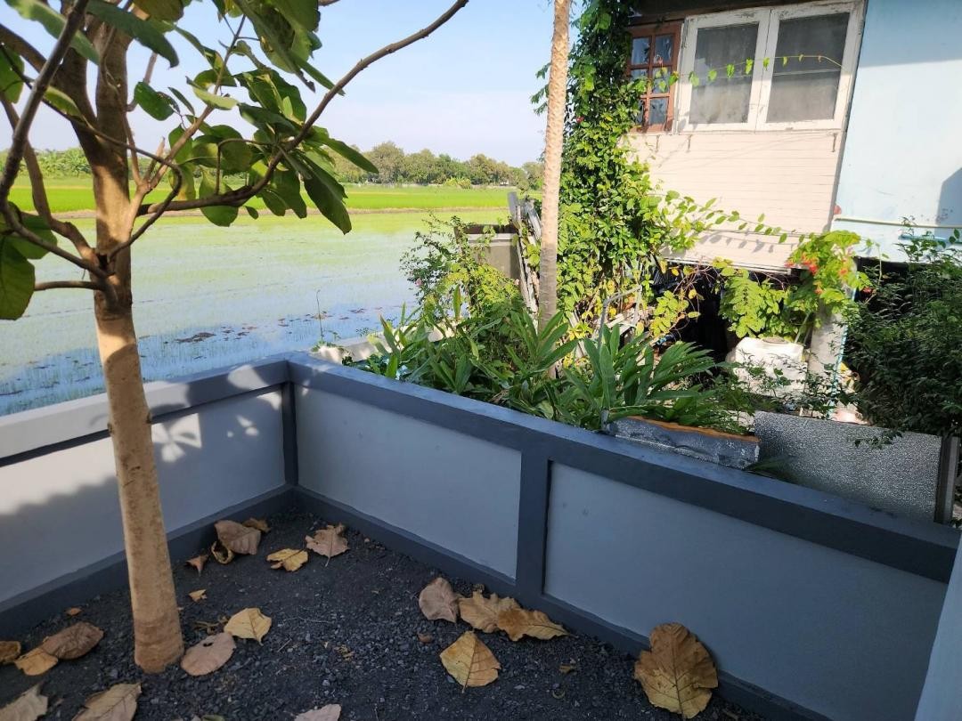 ขายบ้านเดี่ยว 76 ตร.วา คลอง5 บรรยากาศทุ่งนาคาเฟ่ ข้างโรงเรียนทีปังกรณ์วิทยาพัฒน์ ตรงข้าม อบต.คลองห้า