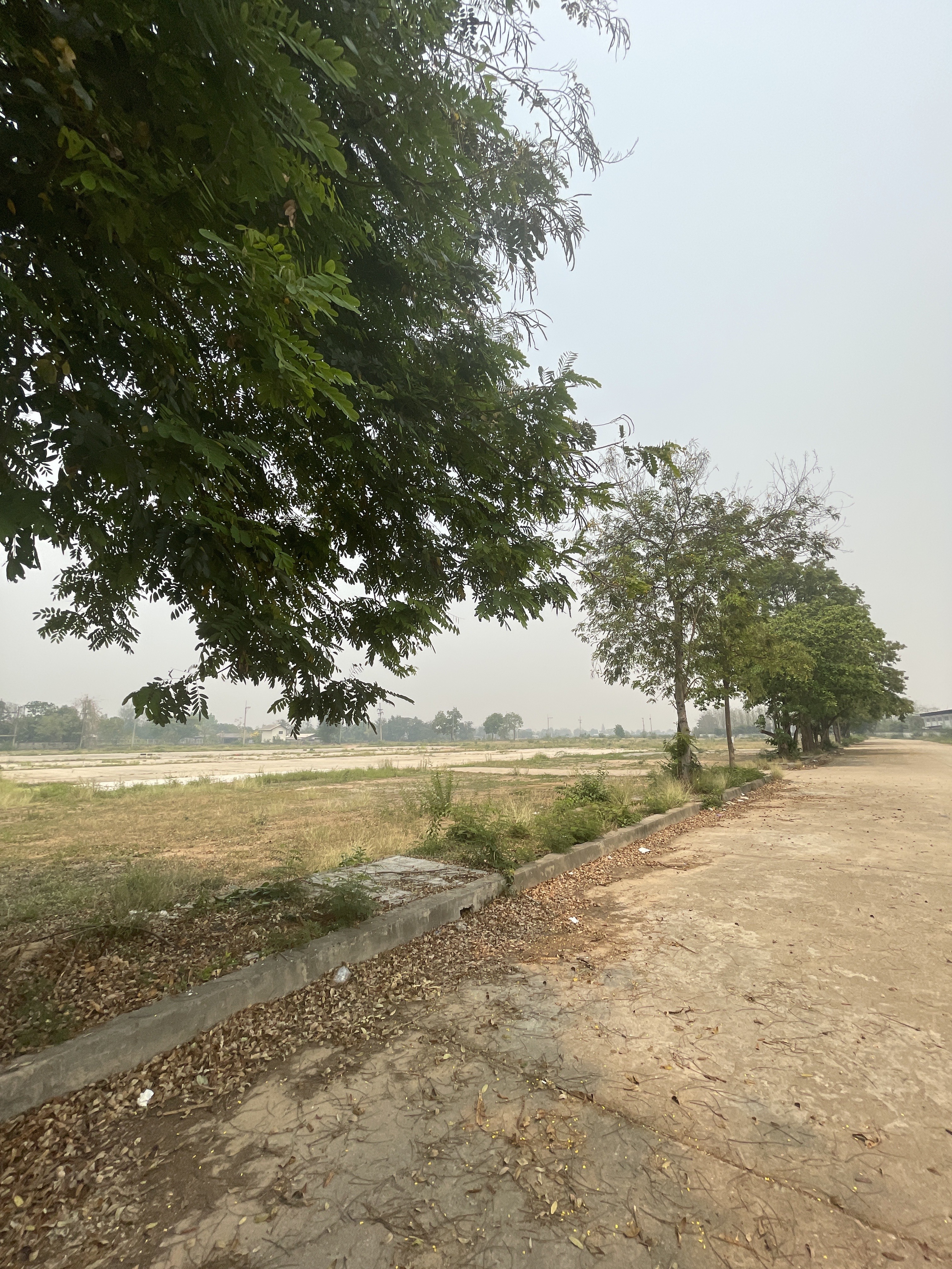 ขายที่ในเมืองลำพูน (เส้นลำพูน-เวียงยอง) 43 ไร่ 2 งาน 13 ตารางวา จังหวัดลำพูน 