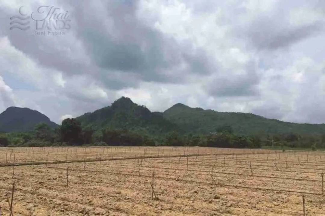 ขายที่ดิน ริมน้ำในเมืองโอกาสแบบนี้ไม่ได้มีบ่อย 