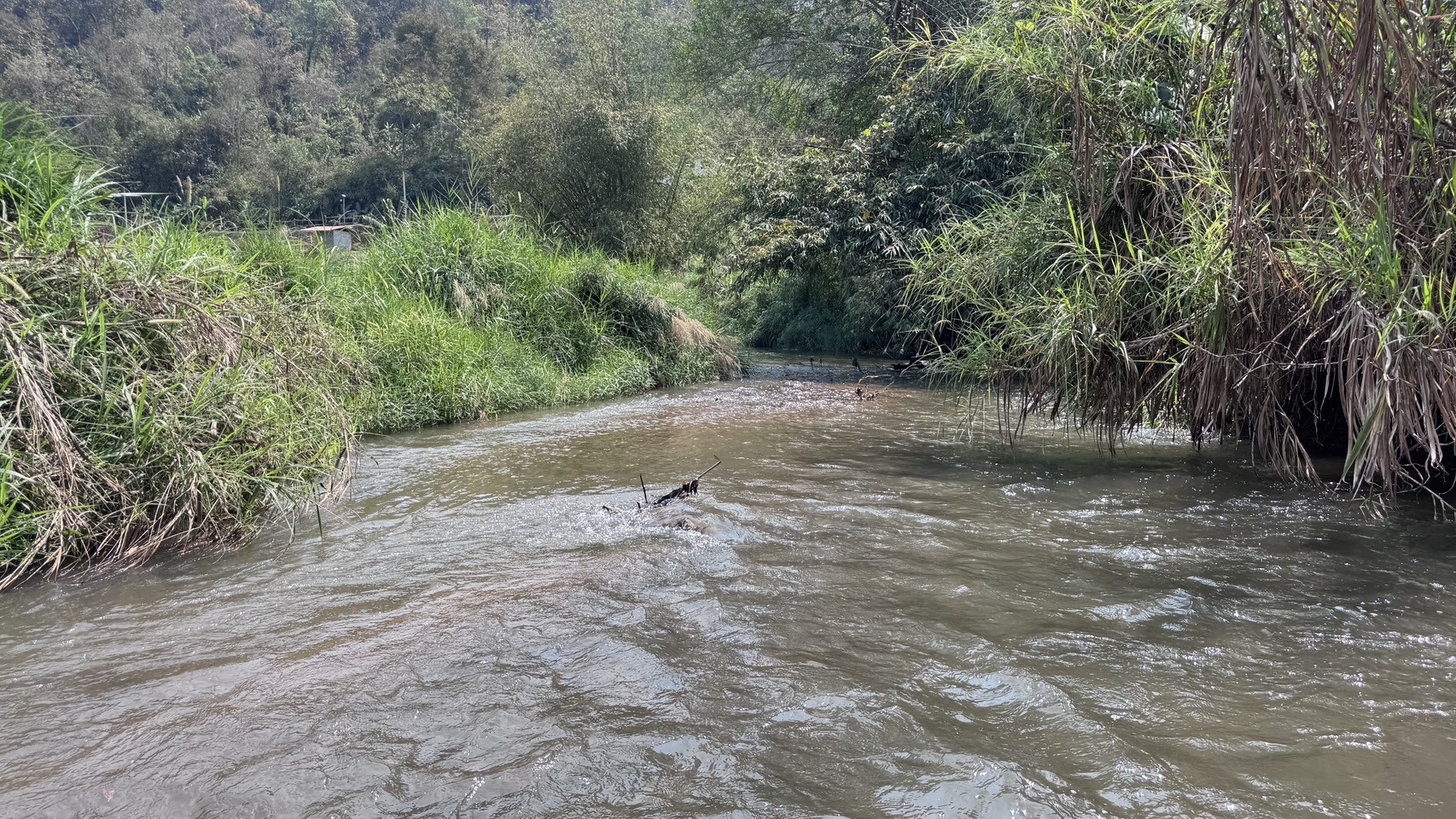 ขายที่ดิน  063 - 9352897  คุณเล็ก 4 ไร่ 90 ตารางวา เชียงใหม่ 