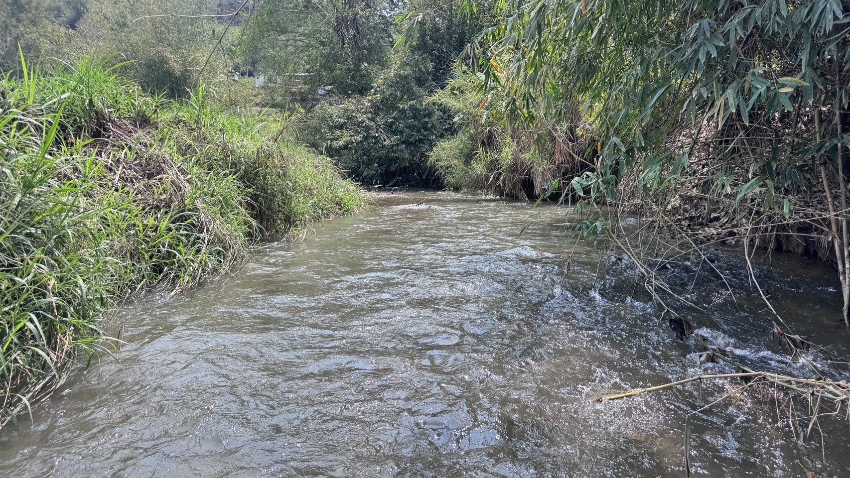 ขายที่ดิน  063 - 9352897  คุณเล็ก 4 ไร่ 90 ตารางวา เชียงใหม่ 