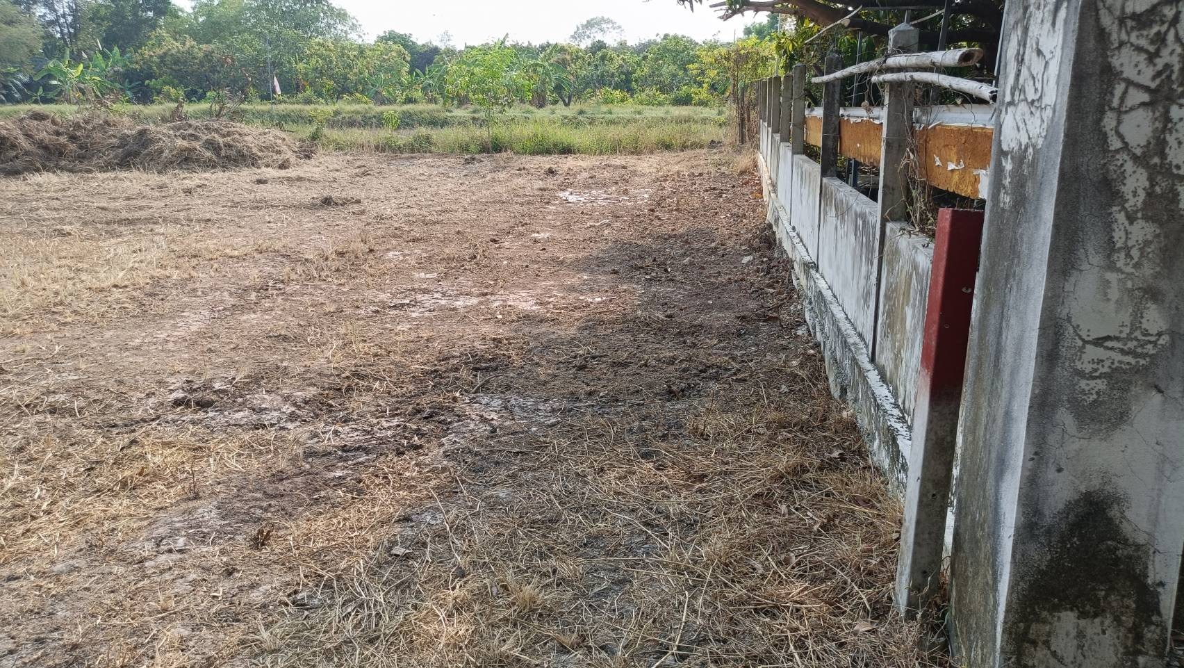 ขายที่ดินเนื้อที่ 2 ไร่ ติดรีสอร์ทบ้านสกายฟราวเวอร์ ต.หนองหมู อ.วิหารแดง จ.สระบุรี