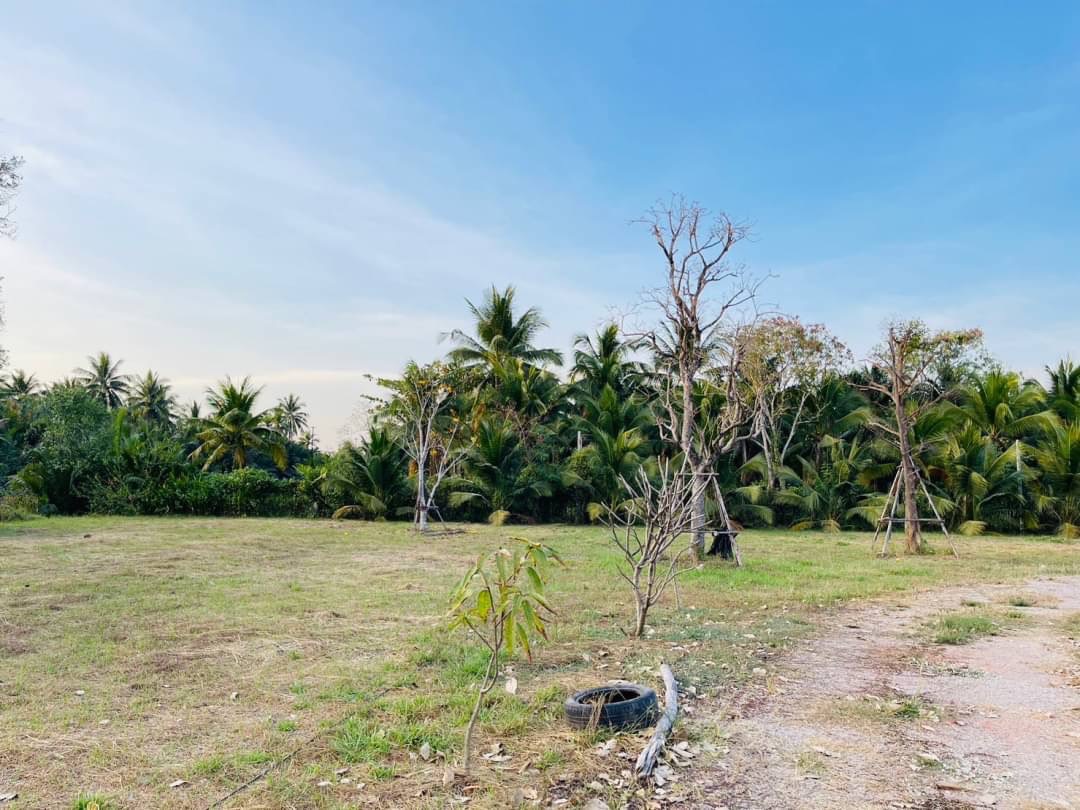 ขายที่ดินทำเลธรรมชาติ เหมาะสำหรับทำรีสอร์ท โฮมสเตย์ คาเฟ่ บ้านสวน สมุทรสงคราม 