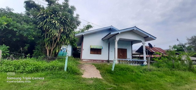 ขายบ้านเดียว พร้อมที่ดิน เจ้าของขายเอง ตำบลแวง อำเภอโพนทอง จังหวัดร้อยเอ็ด