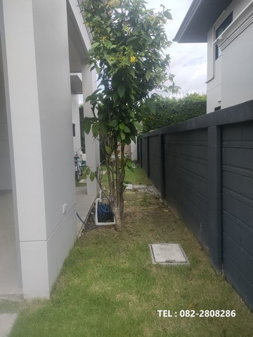 ขายบ้านเศรษฐสิริพัฒนาการ เจ้าของขายเอง  แขวงประเวศ เขตประเวศ กรุงเทพ