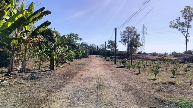 ขายที่ดินโฉนด บ้านสวนหนองคายโฉนด3แปลงติดกัน​ เจ้าของขายเอง อำเภอเมืองหนองคาย จังหวัดหนองคาย