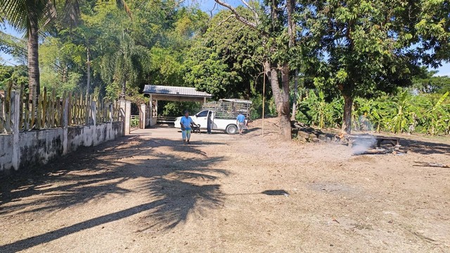 ขายที่ดินโฉนด บ้านสวนหนองคายโฉนด3แปลงติดกัน​ เจ้าของขายเอง อำเภอเมืองหนองคาย จังหวัดหนองคาย