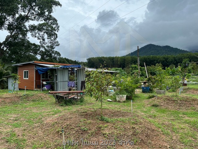ขายสวนทุเรียนเต็มพื้นที่พร้อมทำต่อ บ้านไฟน้ำครบ ต่อรองได้เจ้าของขายเอง ตำบลเขาบายศรี อำเภอท่าใหม่ จังหวัดจันทบุรี 