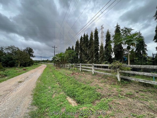 ขายสวนทุเรียนเต็มพื้นที่พร้อมทำต่อ บ้านไฟน้ำครบ ต่อรองได้เจ้าของขายเอง ตำบลเขาบายศรี อำเภอท่าใหม่ จังหวัดจันทบุรี 