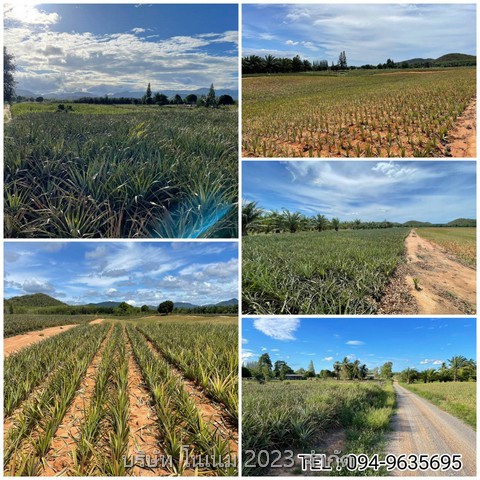 ขายที่ดิน แปลงสวย พื้นที่สีเขียว ติดภูเขา  บ้านยุบพริก ตำบลบ่อนอก อำเภอเมืองประจวบคีรีขันธ์ ประจวบคีรีขันธ์